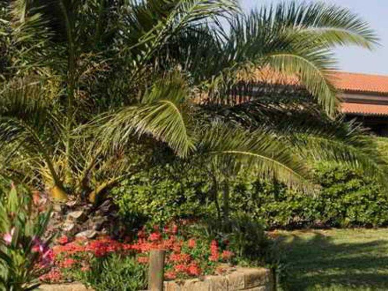 1ED65A2D9BA39657C2359D633E4BDD11