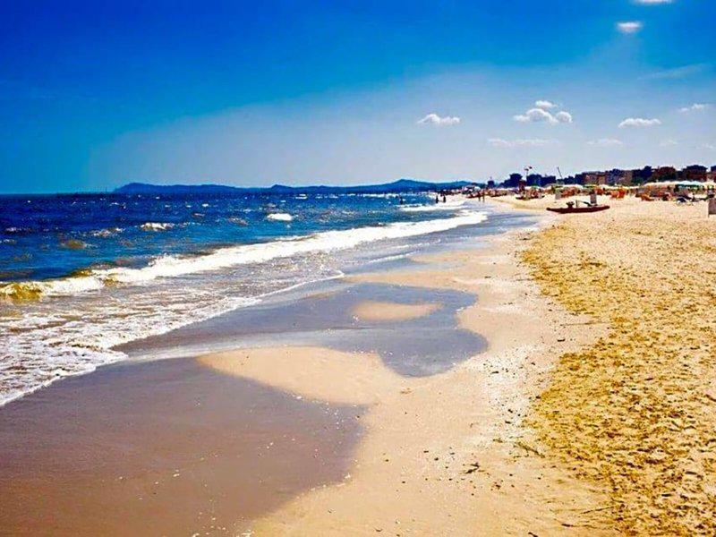 47664DD9CE38AE18A5DCF9B0D043B02A