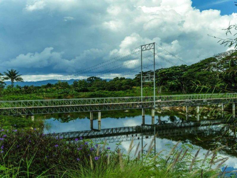 C9977A8C1B1F6ED5CE24D9B36710386F