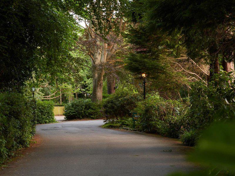 82DEF75E711A5178742C74C8661F60B3