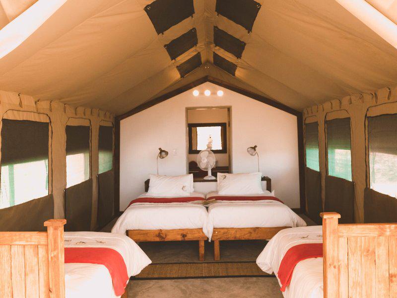 6D3C4AE5E3A0AEE2ED6FCB211EAC551B