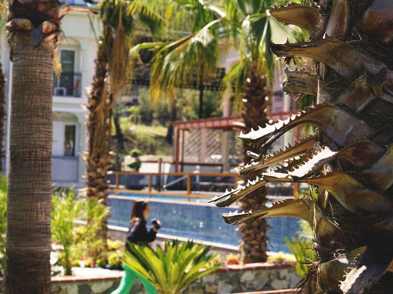 Green Forest Holiday Village