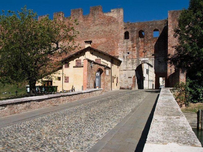 D64A2C2DB47C128CAB060A1457A9E160