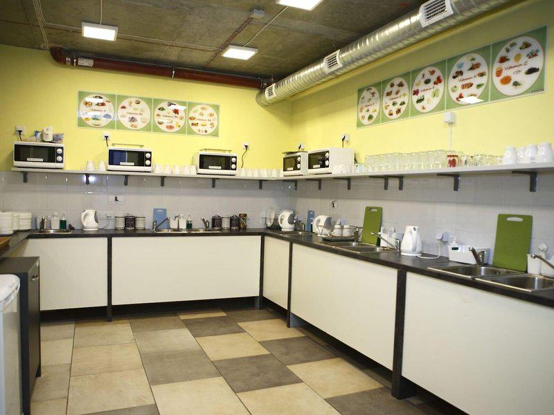 CFC5F5E3E8087CAFC8EA9FB98561F1E0