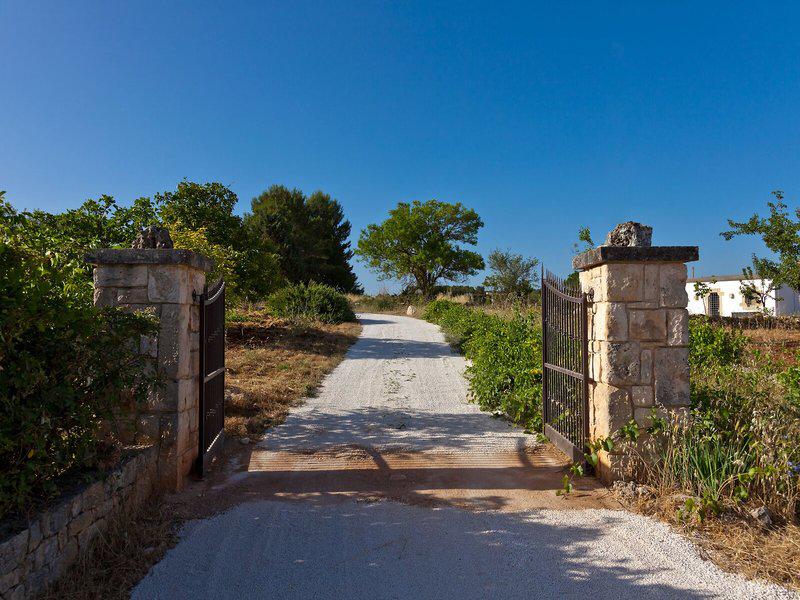 77A33000034DB3023381171FCDCF0990