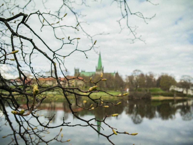 C0310FF2236A96CAFB63ACD4E31508C9