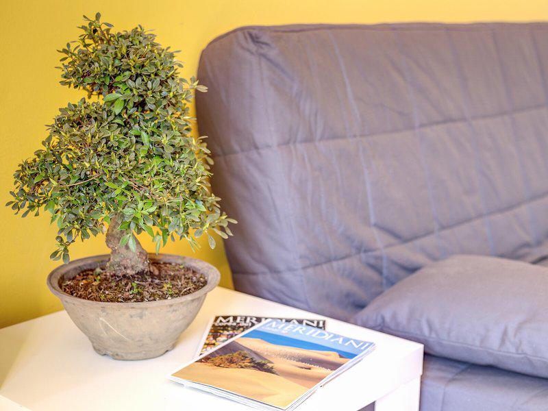 B1136C8BF6F0018F78A4AB5C245040E8