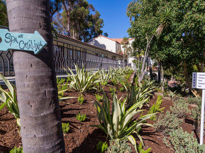 02157630210EBA49A3940C26494299EA