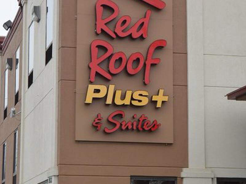 ED83310636B6DCA6BF143FC00867B598