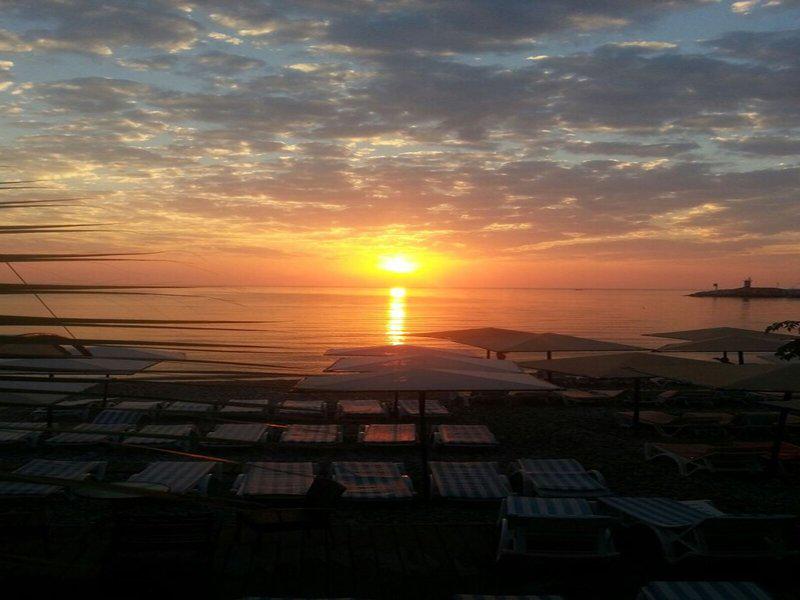 2FB19833CC1299F7D13718873A45C0BD