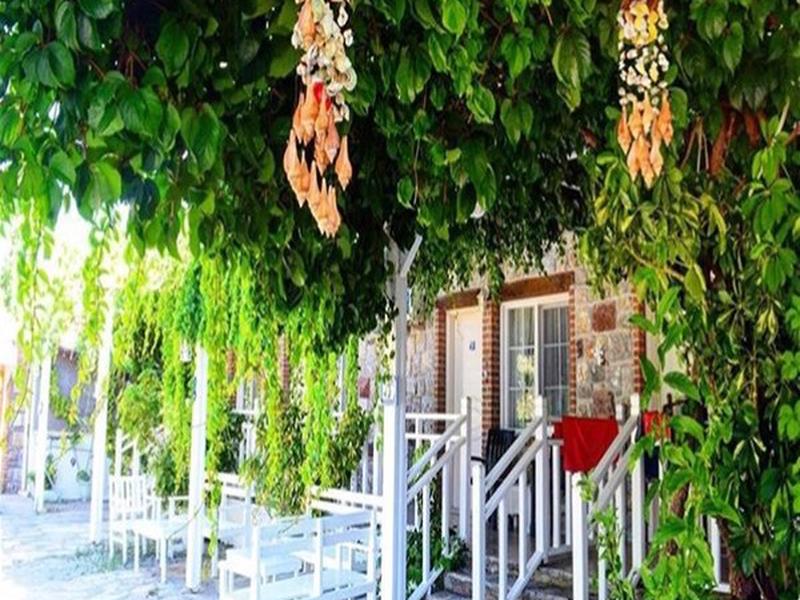 BBA1F8338024CEEB3244764BFCB8A2F9