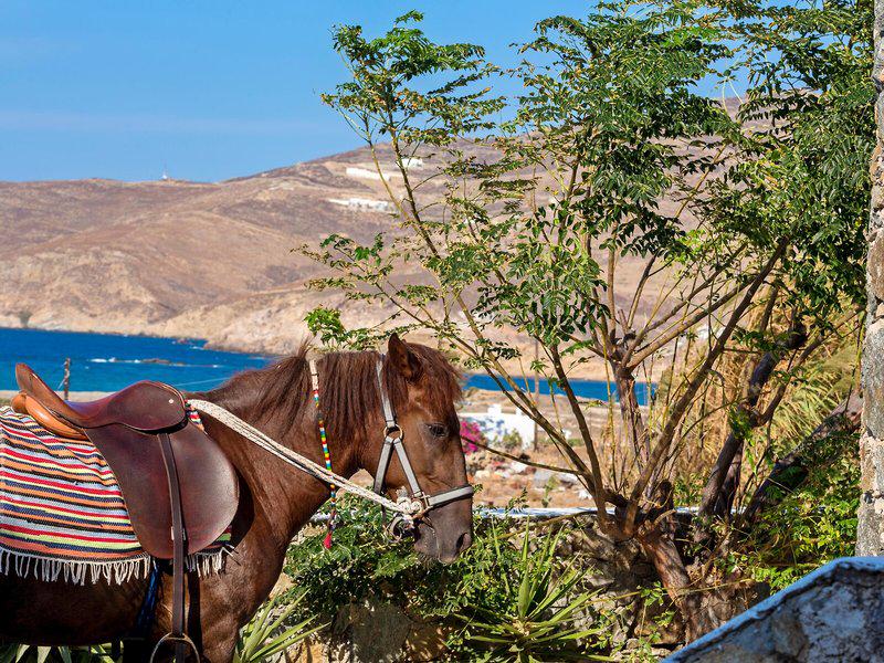 A5CCE57B0375770E23678023B5FFA304