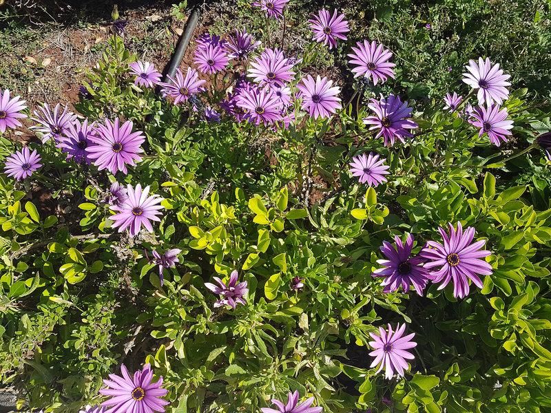 CAE3D315AB4A74A9B5EB67FE65A382F8