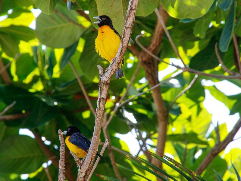 9861BC2C8837E120D9F7C03B1CC686B3