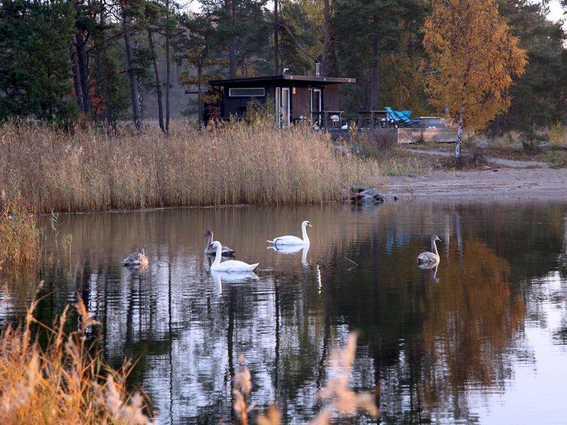 B5328DC4950778DB1E1405E8A8159F95