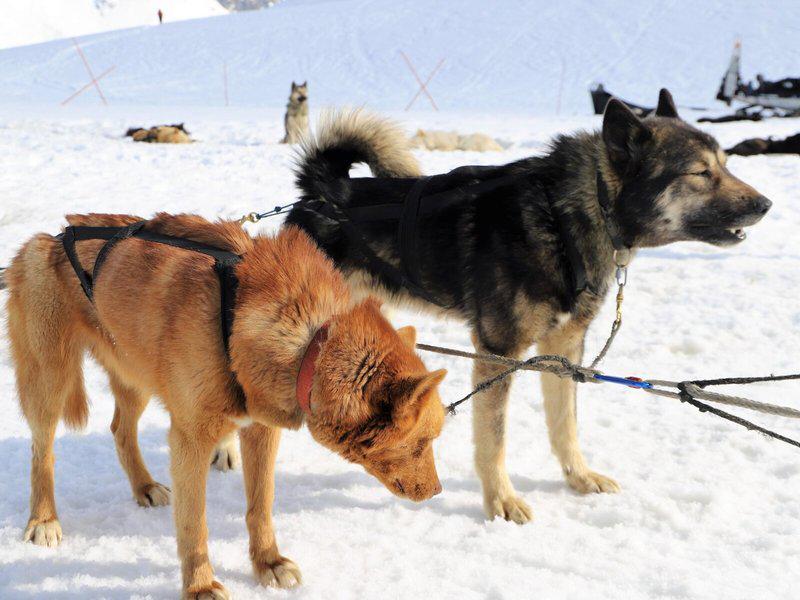 3D0CFAD30D399F08EEE2A7624A8659AF