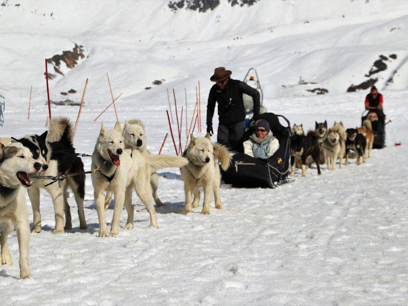 D7442811C8042381469551EEFC2F50F5