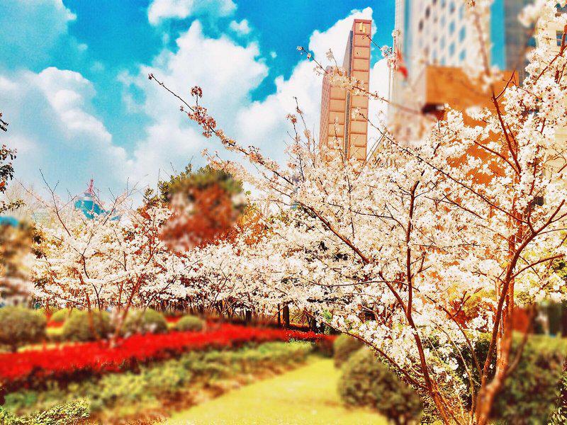 03BEEC3C213C530F21353659B8742648