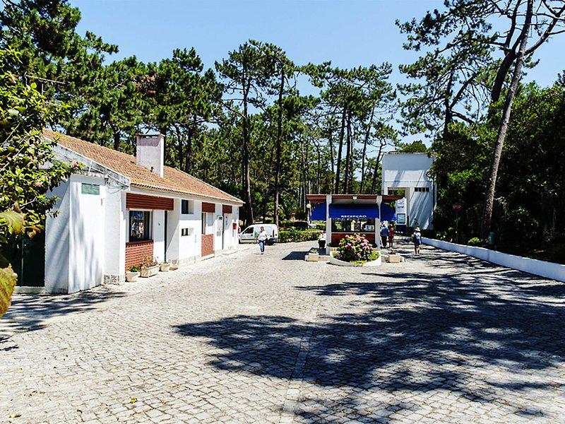 3168DFCA9AE77FC0B0A531F8016B33C3