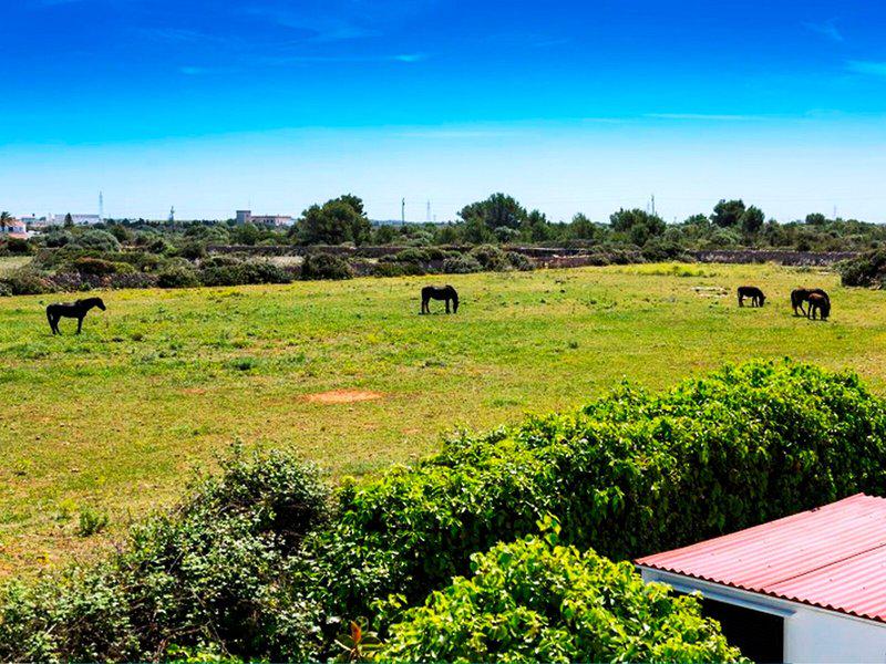 C11471F80C84BD42C2BDF8B7B3B564B9