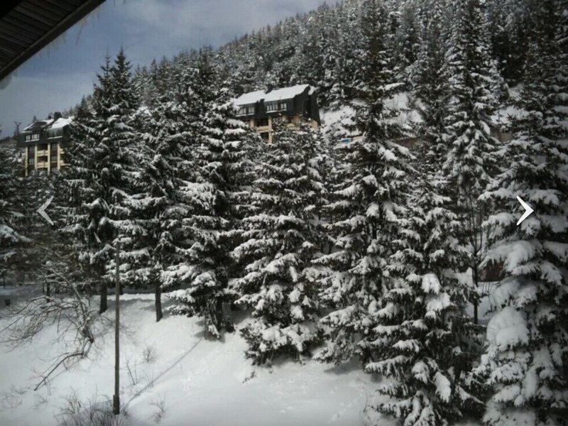 D7428AD3938A5EE61FB70FD9590D6A5B