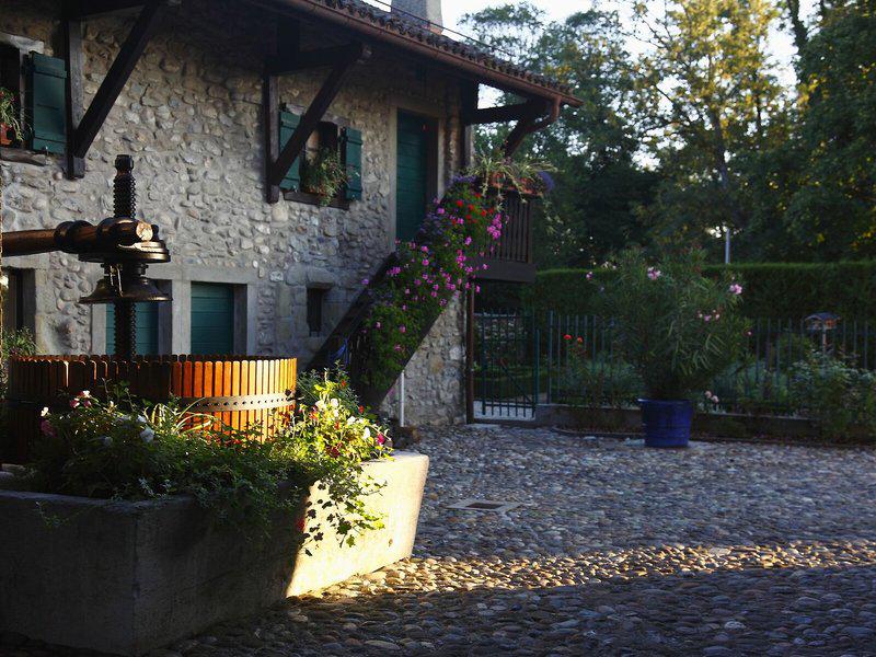 337AF357C584BB85BBF120B862FEB7B1