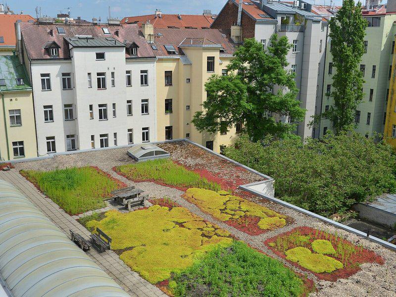 662715A32EC8328712888A3D15D9F6D2