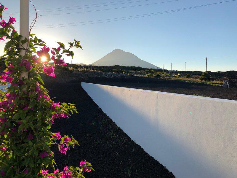 55D760B607D3191A8F03E369A64FC768