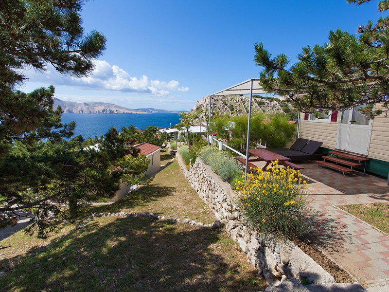 C0C991077C9A6CA79AFC28A332FC809A