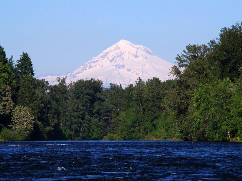 F3B6E0C537CB9F995E138AFF57C57CAC