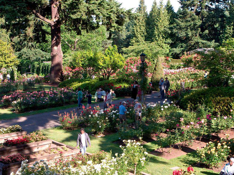 D626225EBD9FC4B1E0AE4C32CE85F923