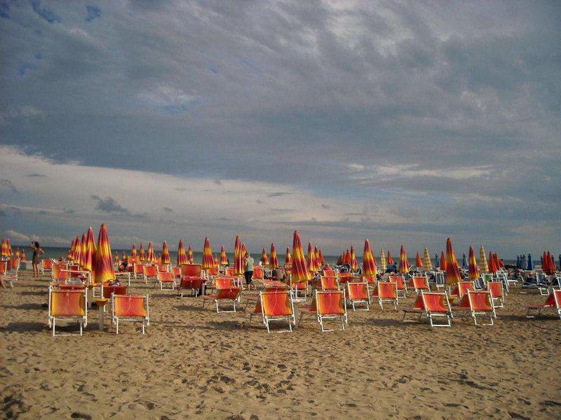 F8FB991E43138F5828E49B5D80F0B6C4