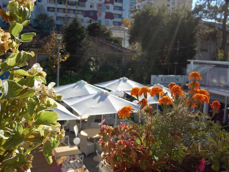 3B77EBA353BD4FF69FA6D6F208C0F206