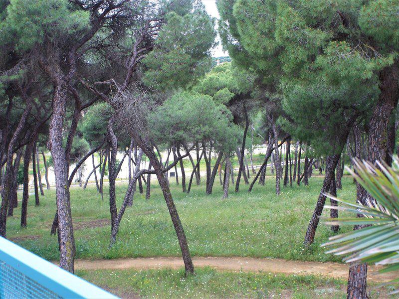 632FFDF6D5DDDD0608E6184CDFDDC318