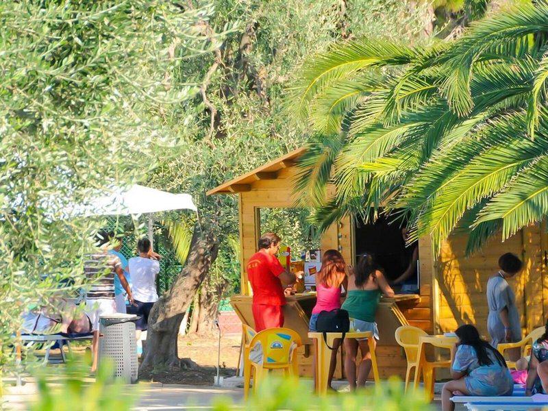 D3933E5BF6F45D6EDB52D0E57C6B3984