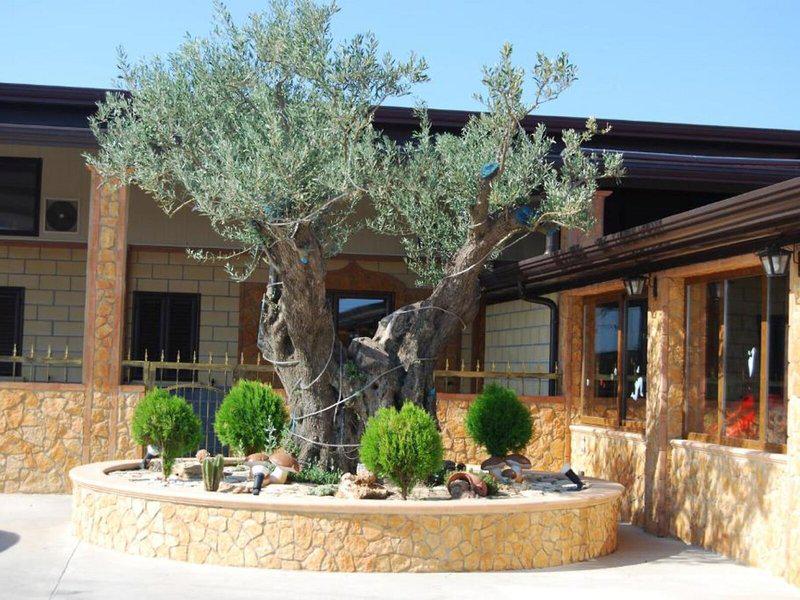 87E36257425B684685C30DB00C3BD8FC