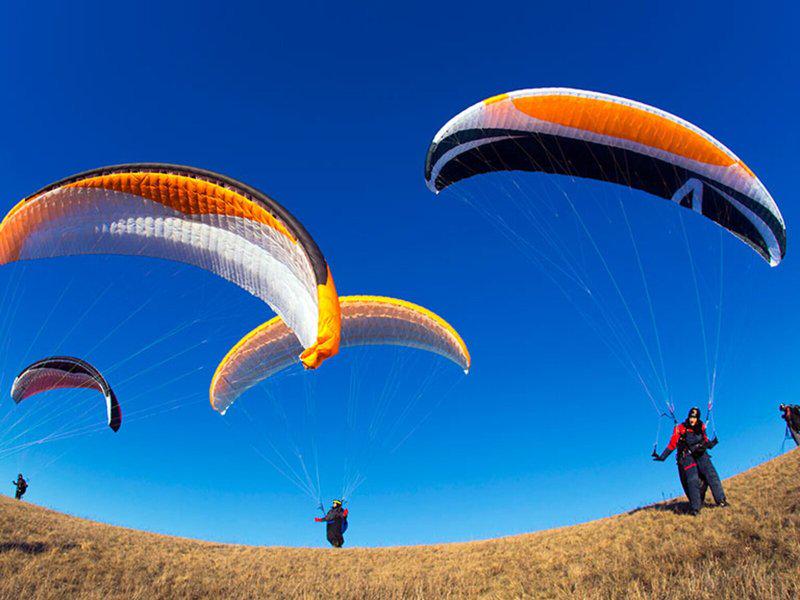 DB3A13210E36C1AAC69E618968D00D04