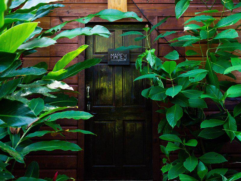 ED4CDEDE125447B38DC5B733DA0A881D