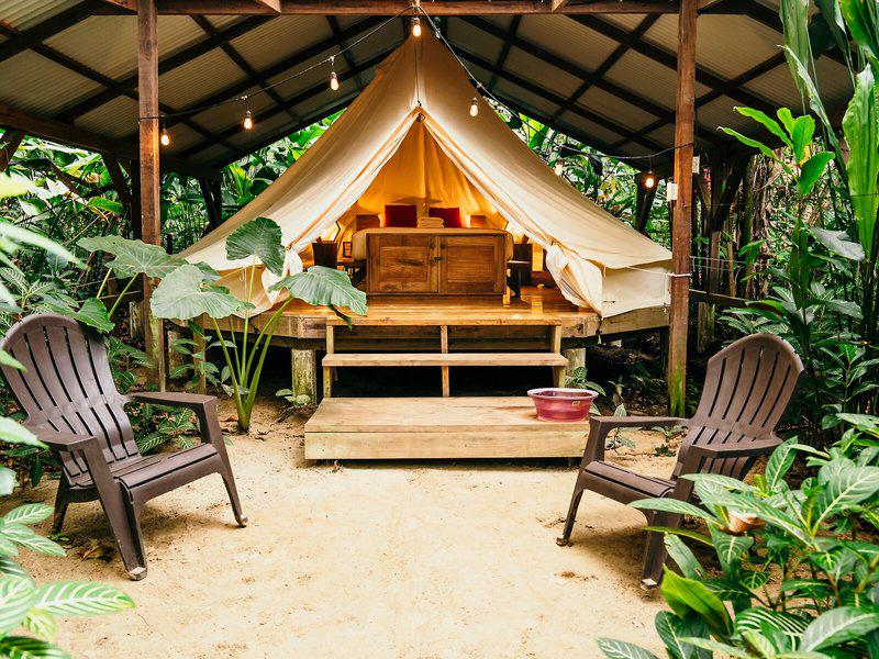 2CFF4B31AB3180BA72FB2F9ECD66EC2E