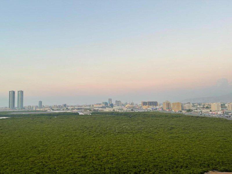 F07979DBF1F8C94C635BA1E2E0078557