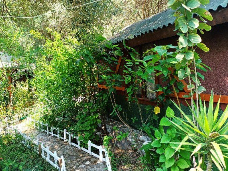 EE46FB36C8346818993F92AADD009B2D