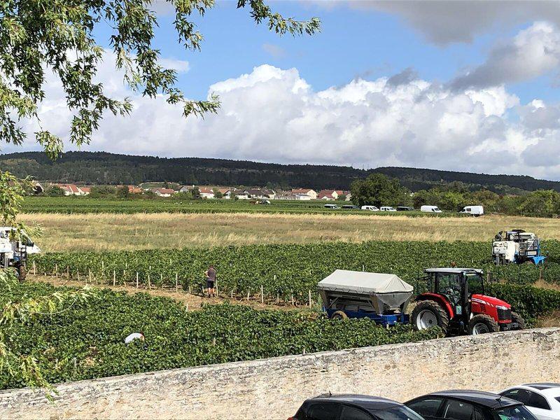 DDD79AA090404E555B519469B5672553