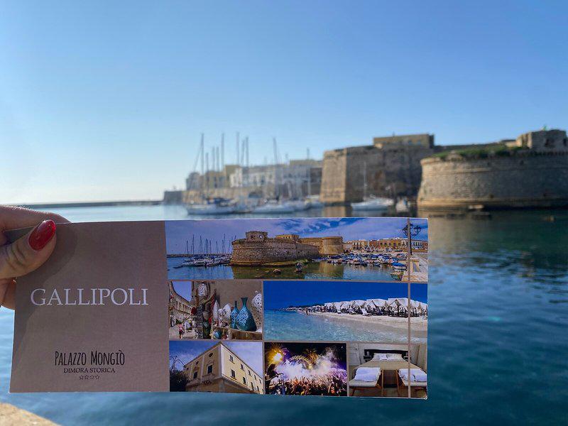 471CB47709F6C56E07DD625E5B34AF82