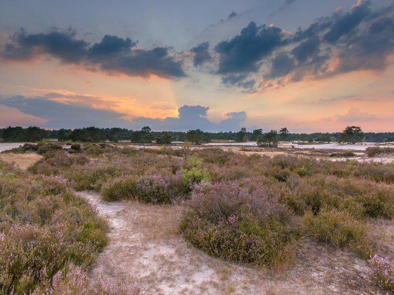 FD259B452F6A85234EA0684ADB5B699C