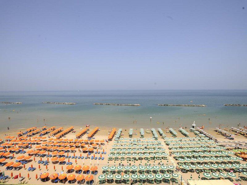 F354F0C48B946E99E640A250BA1AA238