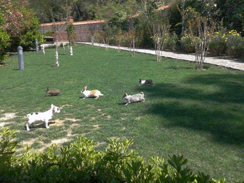 737C6D9400516B9680A0789143D32873