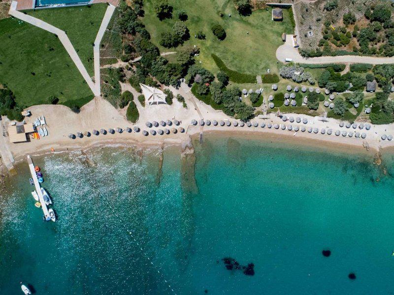 2E477CF5F2A1A6219B8D0831F63D3EDA