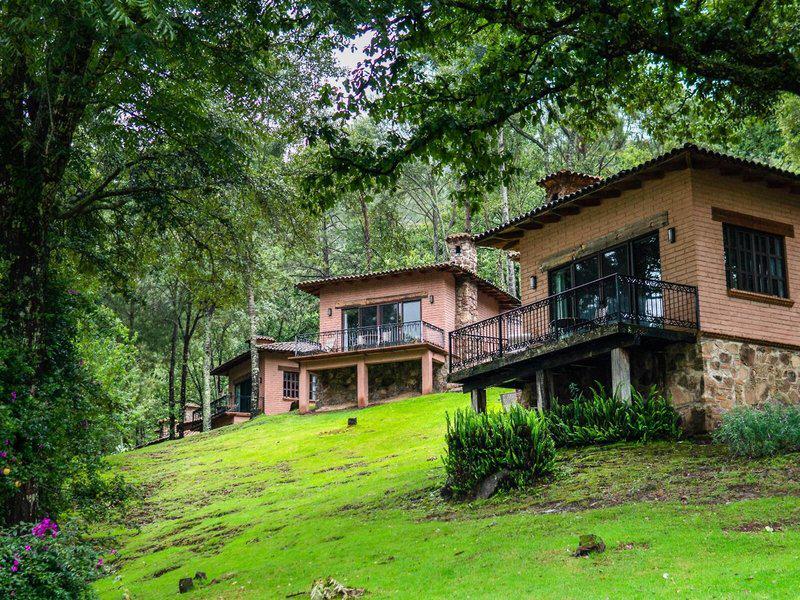 C677D66D0C49A8D2DB1ABA3E12839BFB