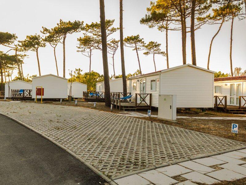 3E69D87F89E52F77094E90CB57091DE9