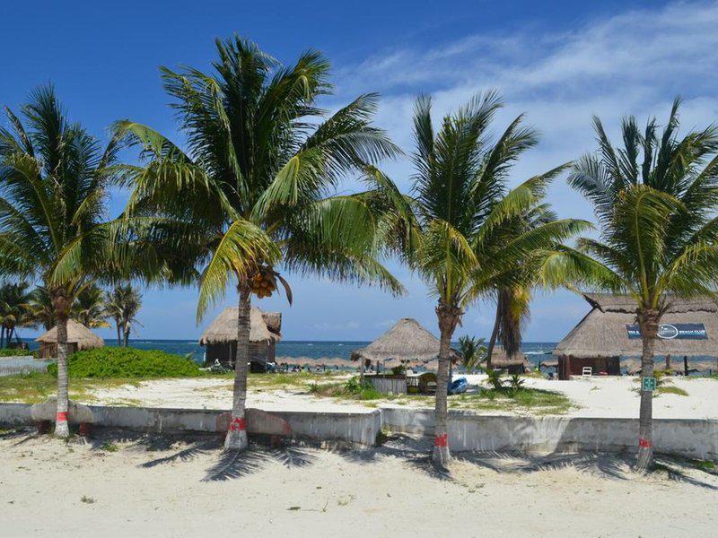 EFDEE59BA6DDE35DB76E859F0F7D38F1